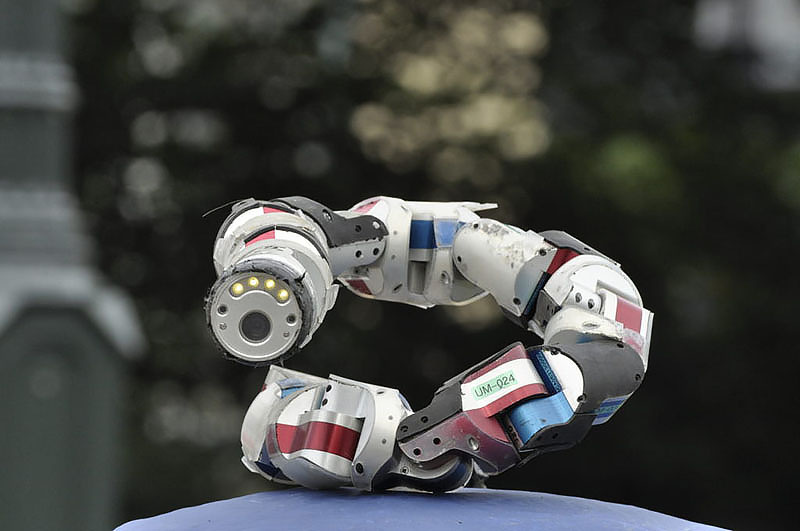 Робот-змея. Источник: therobotreport.com