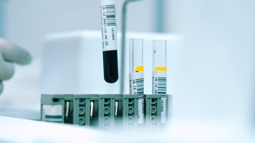    Фото © Unsplash.com