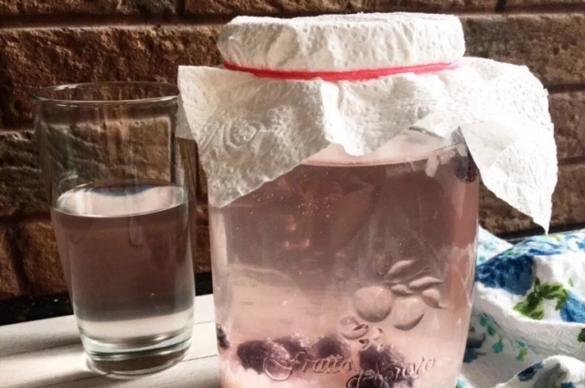    Омская магистрантка создала уникальную комбучу с сибирскими ягодами