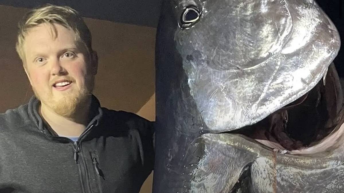    Фото: @marcusrostad