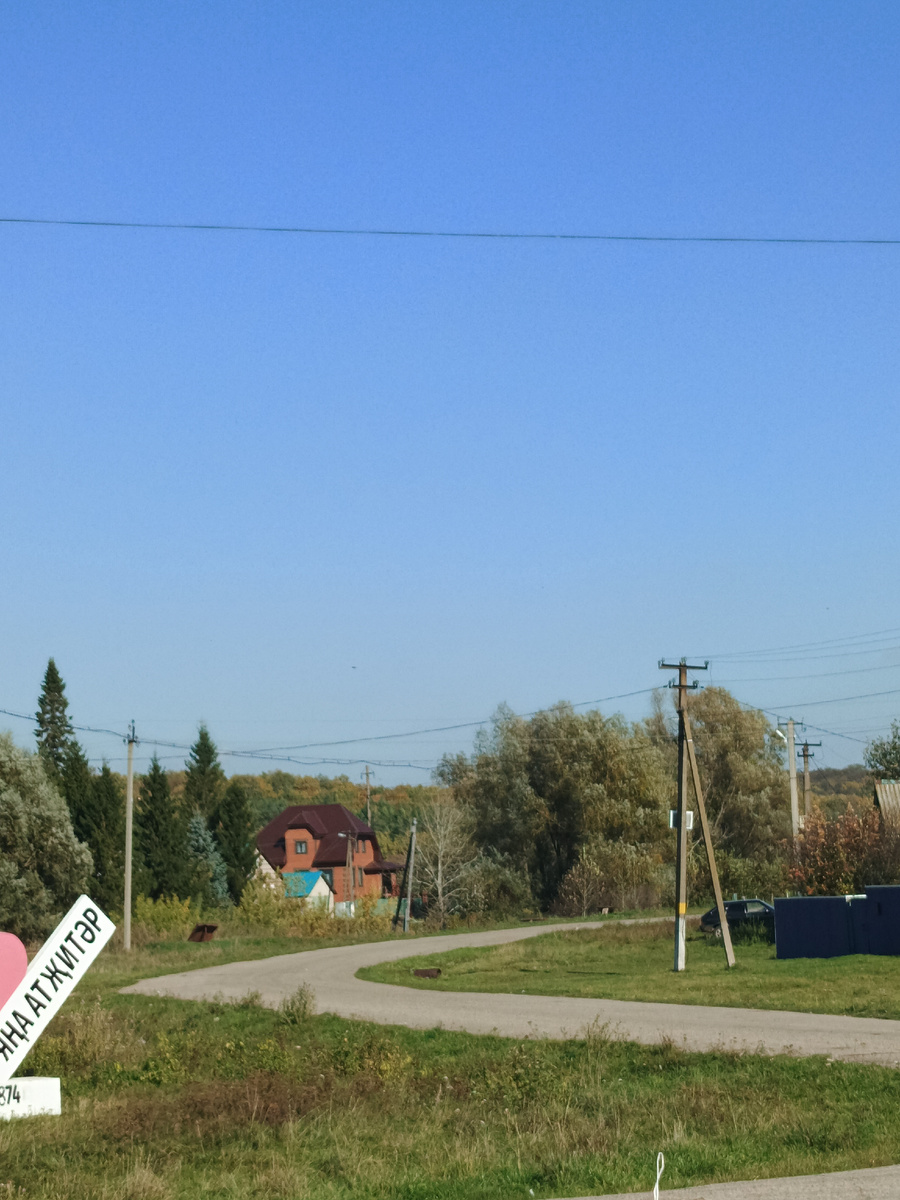 На картине изображён спокойный сельский пейзаж. На переднем плане видна зелёная трава, которая мягко колышется под лёгким ветерком. Вдали простирается голубое небо, чистое и безоблачное, что создаёт ощущение ясного и тёплого дня.На заднем плане виднеется уютный дом с красной крышей, окружённый деревьями и кустарниками. Дом выглядит ухоженным и гостеприимным, словно приглашает отдохнуть от городской суеты. Вокруг дома растут высокие ели и лиственные деревья, их зелёные кроны создают тень и добавляют уюта.Особое внимание привлекают столбы ЛЭП, которые тянутся вдаль, соединяя линии горизонта. Они добавляют картине нотку современности, напоминая о связи природы и человеческой деятельности.Эта картина передаёт ощущение спокойствия и гармонии. Она словно приглашает зрителя насладиться тишиной и красотой сельской жизни, где природа и человек существуют в единстве.