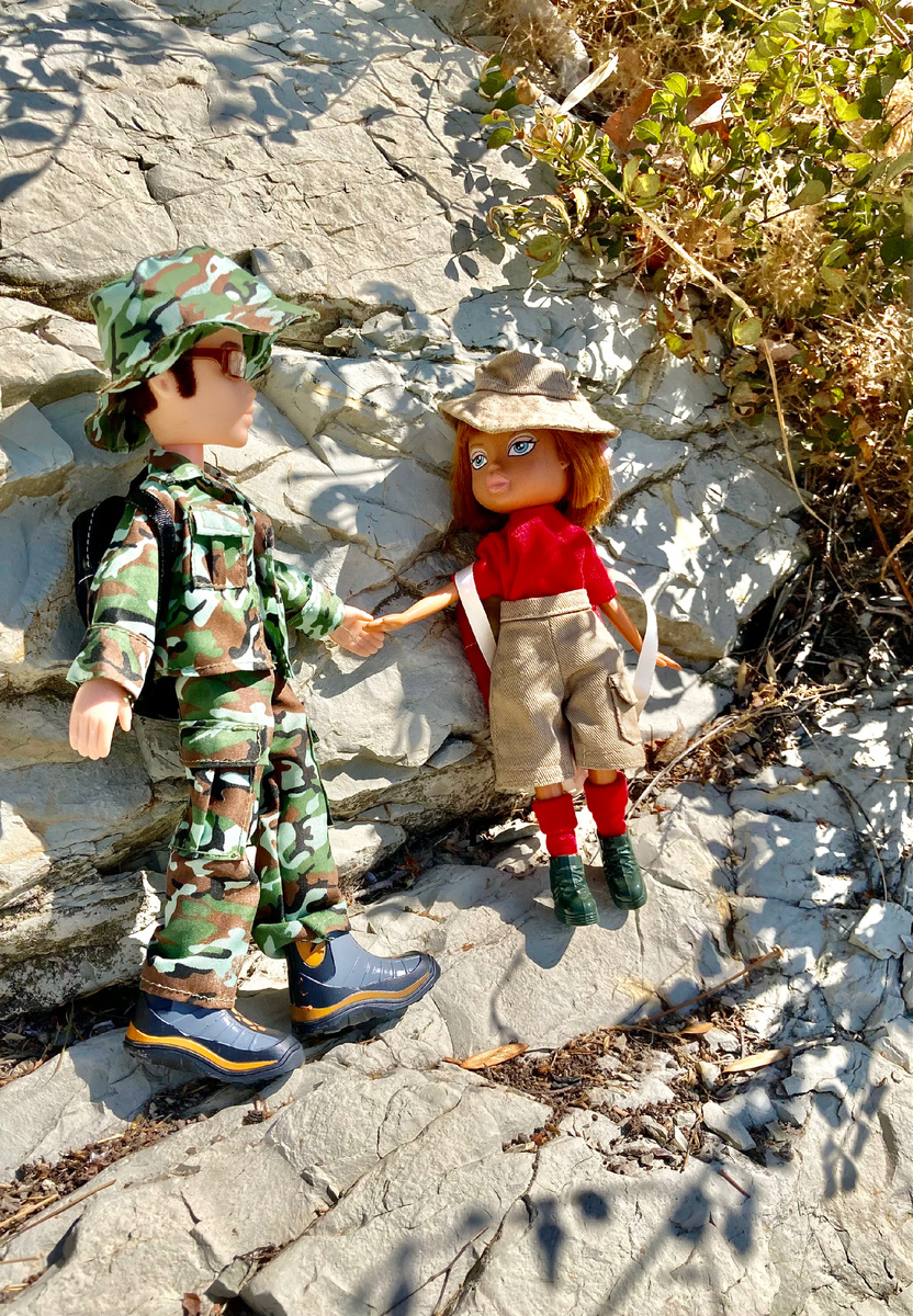 Искала мелкую горную породу и растения с маленькими листочками...