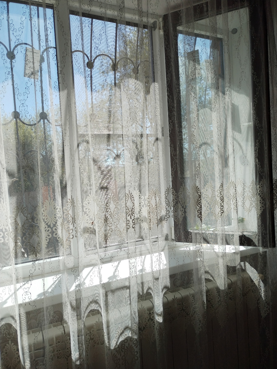 Впускаю теплый воздух и лучи солнца в дом через окно. 