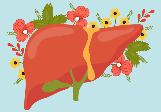 Гемангиома печени - диагноз, но не болезнь