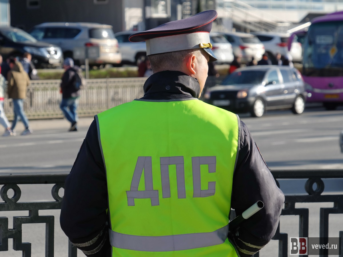     Фото: Владислав Постников / Вечерние ведомости