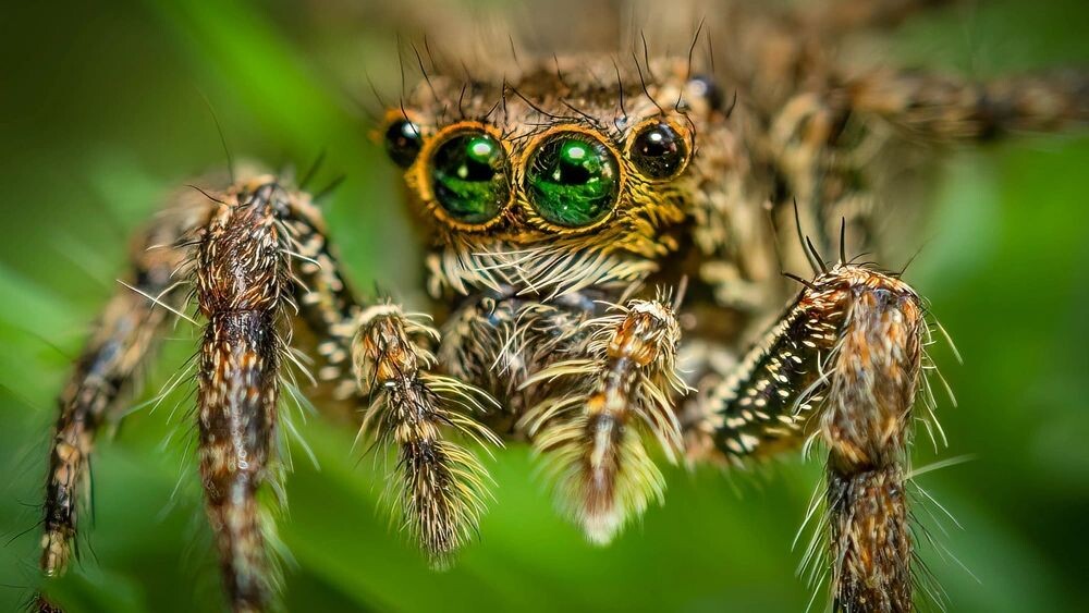    Фото: Matthew R. Montagna / Shutterstock / ФОТОДОМ