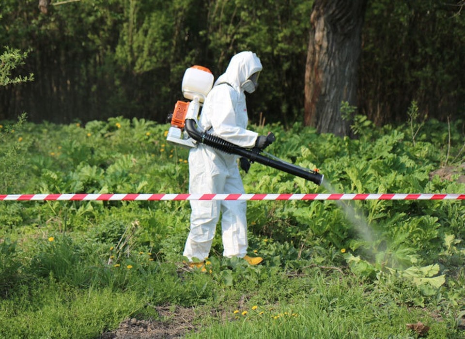    Фото: пресс-служба администрации города Костромы