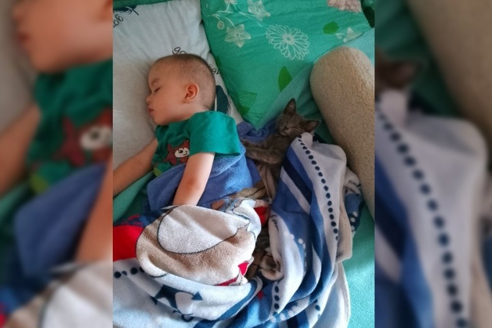    Артемка даже во сне не расстается со своим новым другом. Фото: ПЕТRUSЕВИЧ V Крым Валерия Петрусевич/Tg