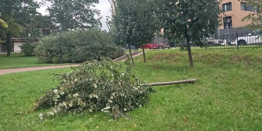    Социальные сети Комимета по благоустройству Петербурга