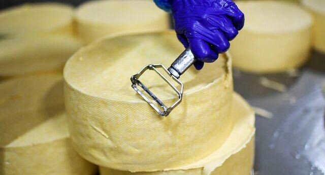    РИА «Новости»