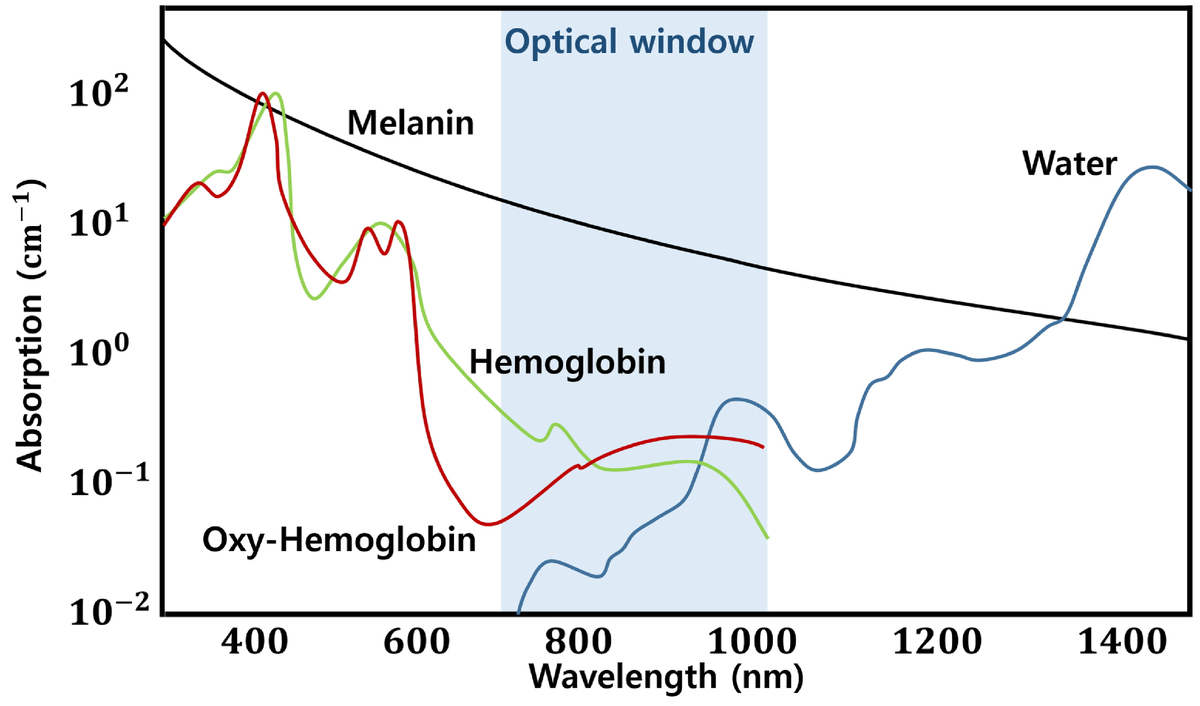 Коэффициент поглощения энергии света.