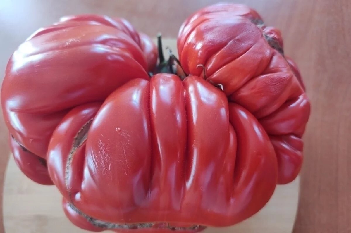    Омские инспекторы вернули в Казахстан 16 тонн опасных помидоров