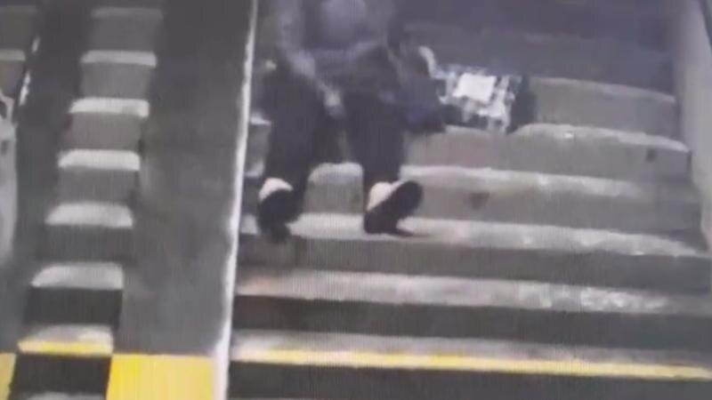    Фото: t.me/procspb