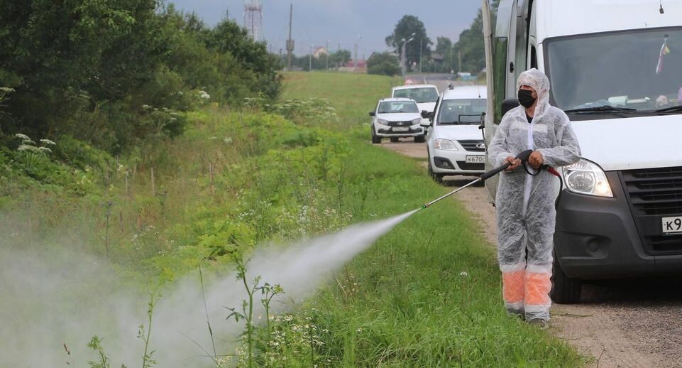    Минтранс Московской области