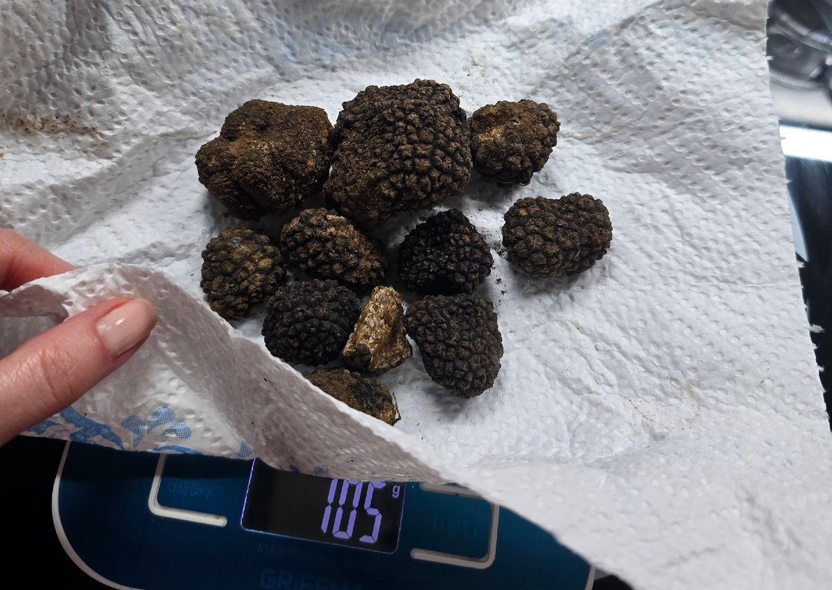 Черный трюфель