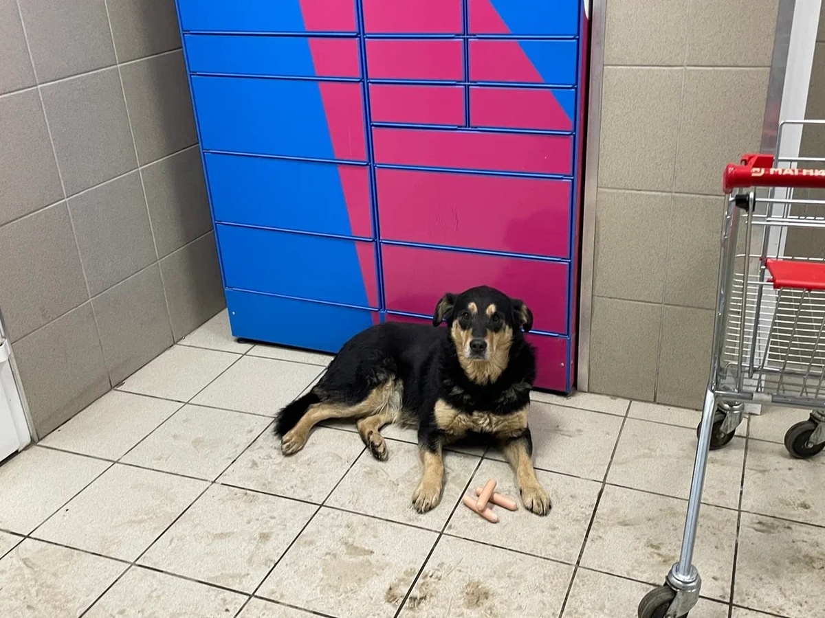    архив samaraonline24.ru