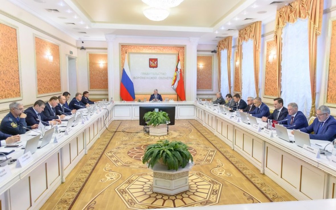 Фото: пресс-служба правительства Воронежской области