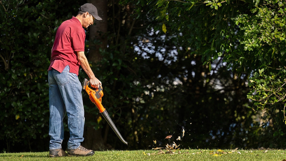 ShutterStock/Fotodom.ru