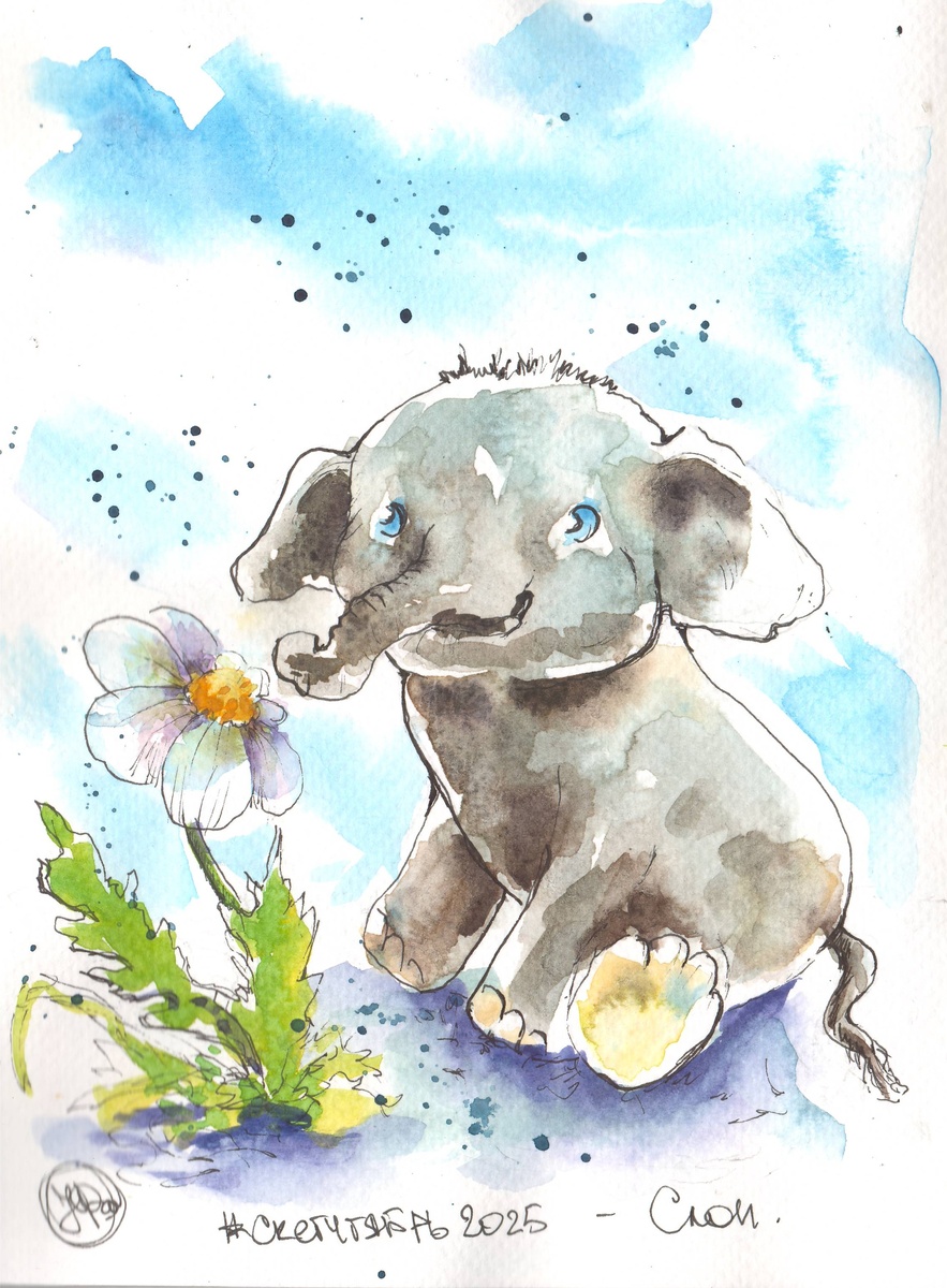 Мой быстрозарисовочный слон.