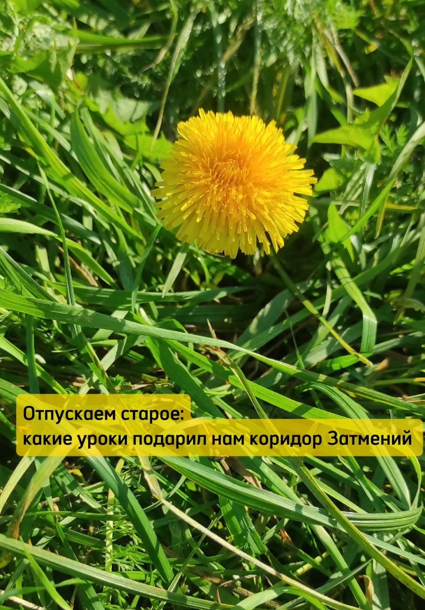 #затмение#солнечноезатмение#венеракету