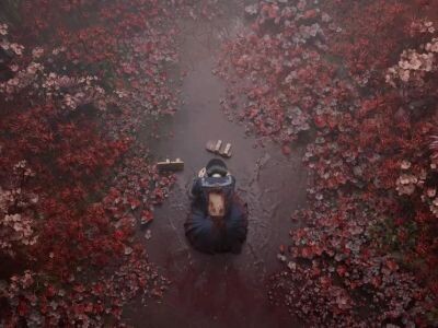    Свобода. Silent Hill f выложили на торрент-трекеры за два дня до премьеры