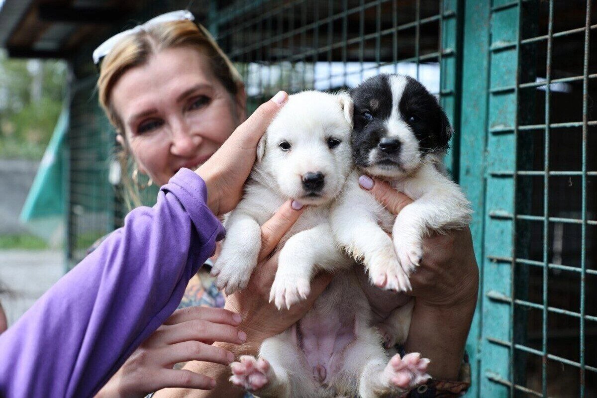    Фото: kavkaz.mk.ru