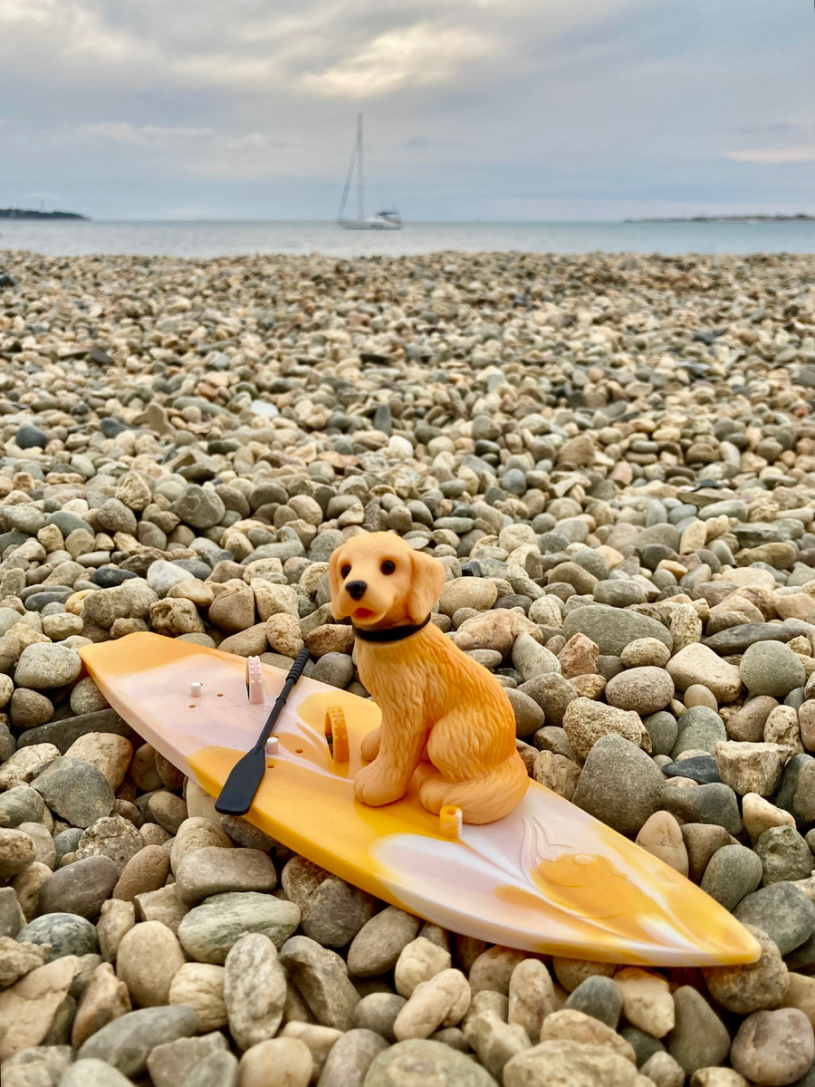 Ходила по пляжу искала места без людей👌 Руфус уже готов и в нетерпении))