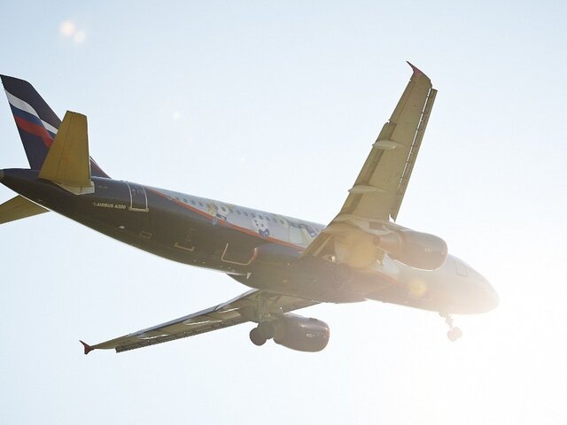    Фото: Москва 24/Александр Авилов