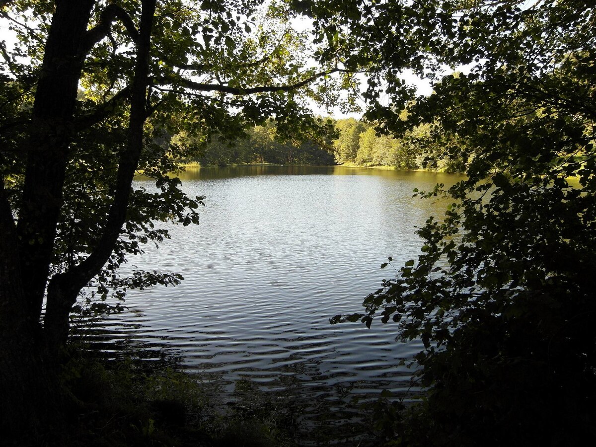 Озеро Литовка со стороны шоссе. Фото: ꟿ, 21.09.2025