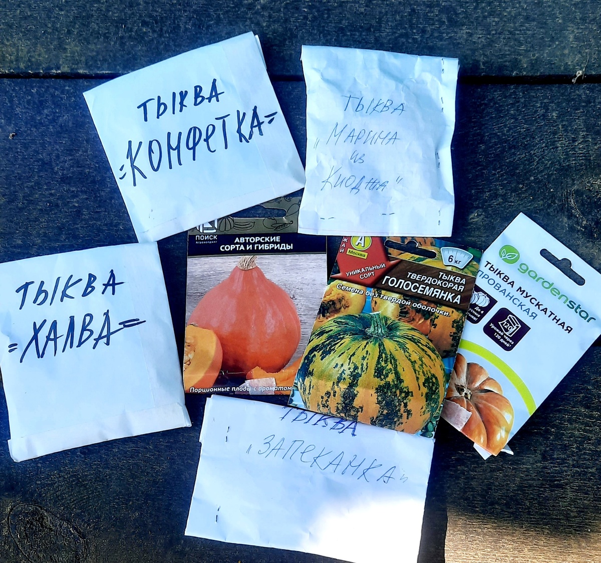 Фото автора. Всё, что сажала в сезоне-2025.