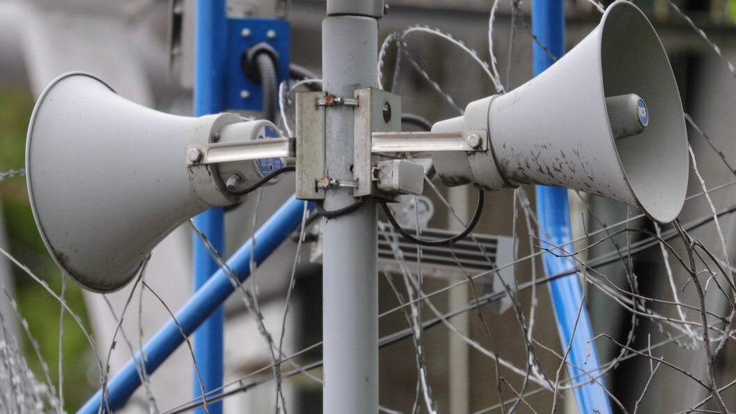    Фото: Bulkin Sergey/Globallookpress