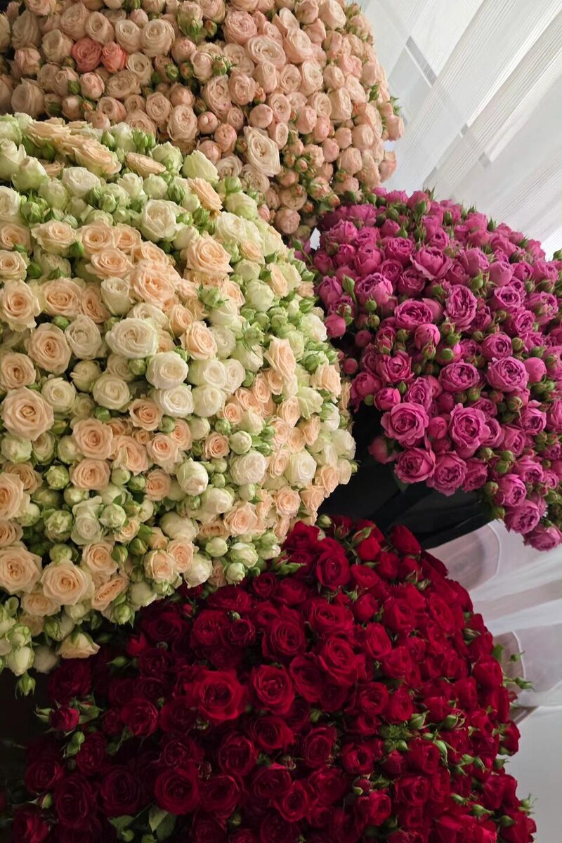     Социальные сети