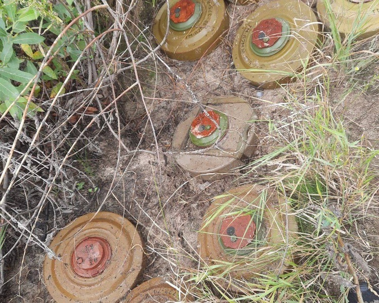     В курском приграничье за неделю разминировали 34,6 гектаров