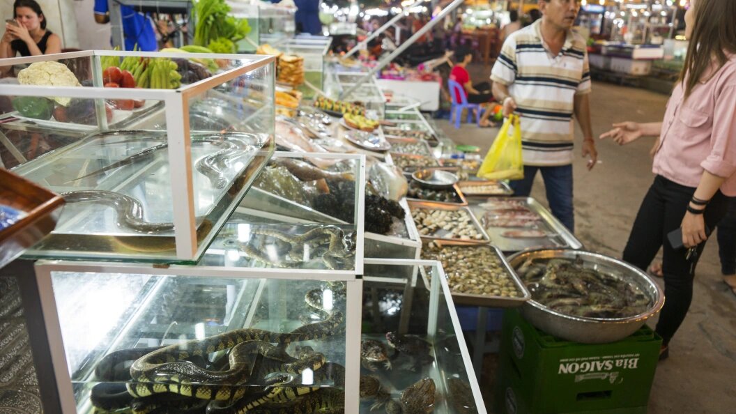    Aleksey Smyshlyaev/Globallookpress