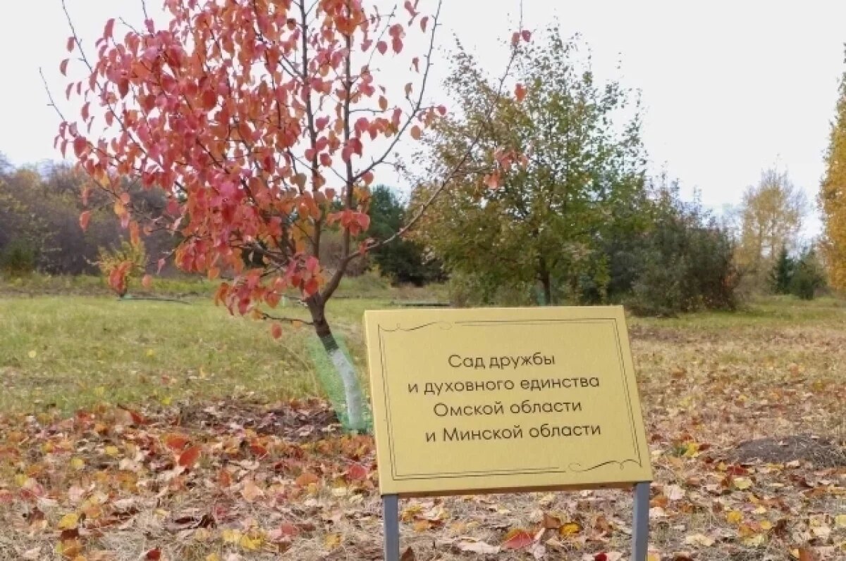    В Ачаирском монастыре под Омском высадили облепиху из Беларуси