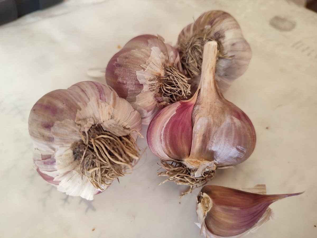    Фото: REGIONS/Елена Забелина