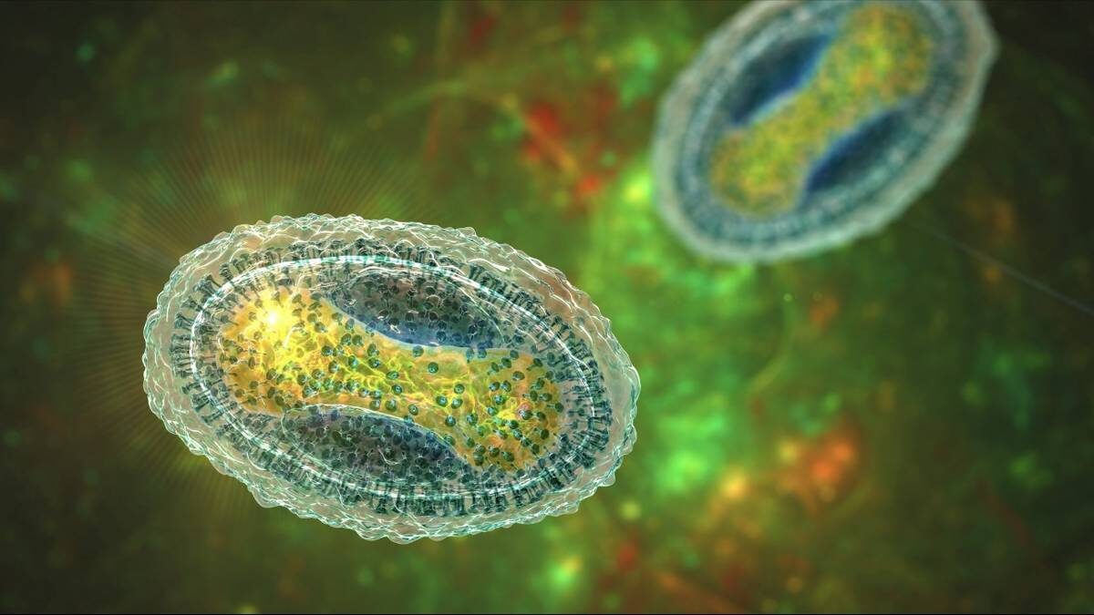    Фото: Shutterstock