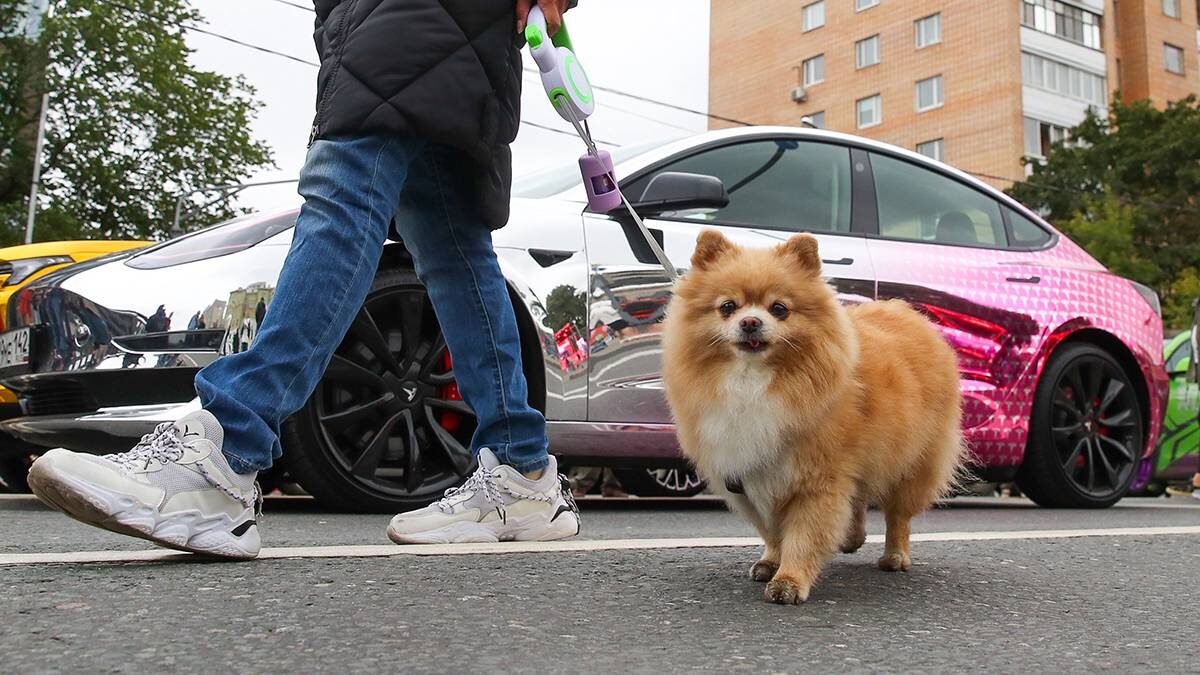    Фото: Василий Кузьмиченок / АГН Москва