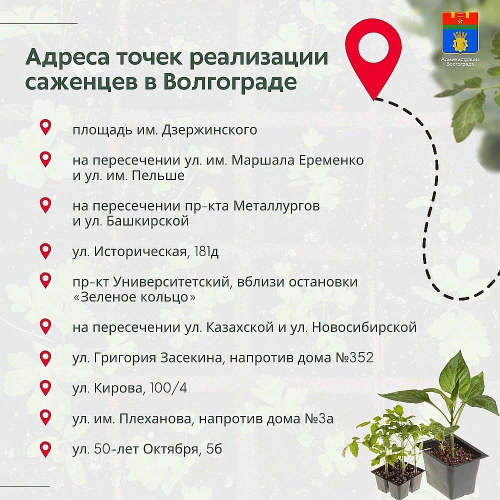    Фото: администрация Волгограда