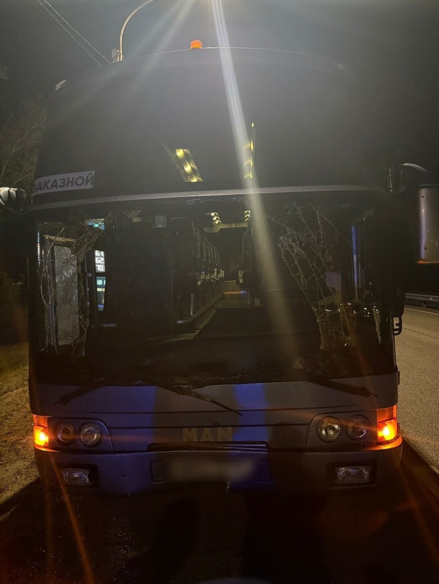 Источник: тг-канал полиции Воронежской области