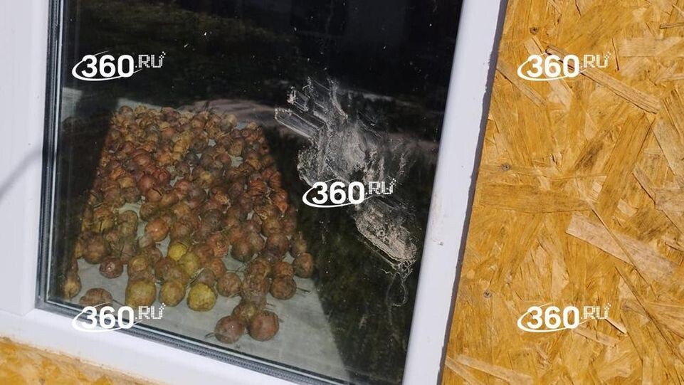    360.ru