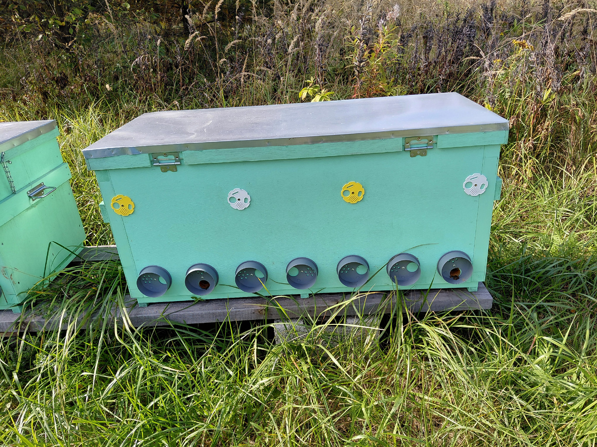 Улей-лежак Якимова Благодать