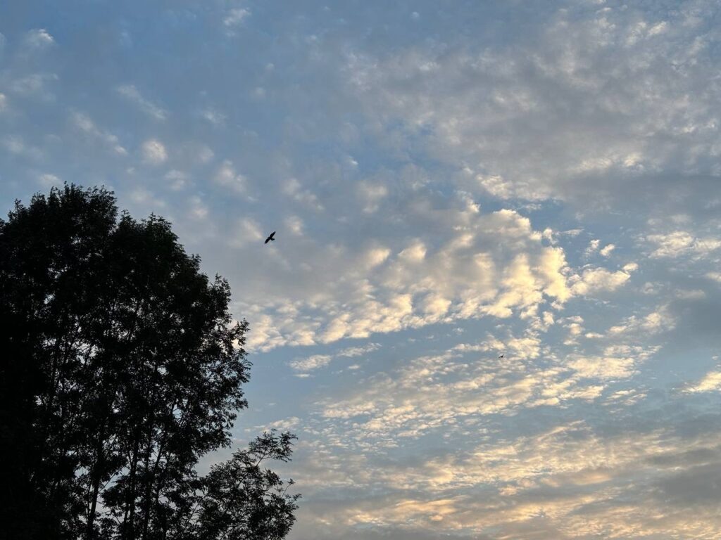    Фото: smolnarod.ru