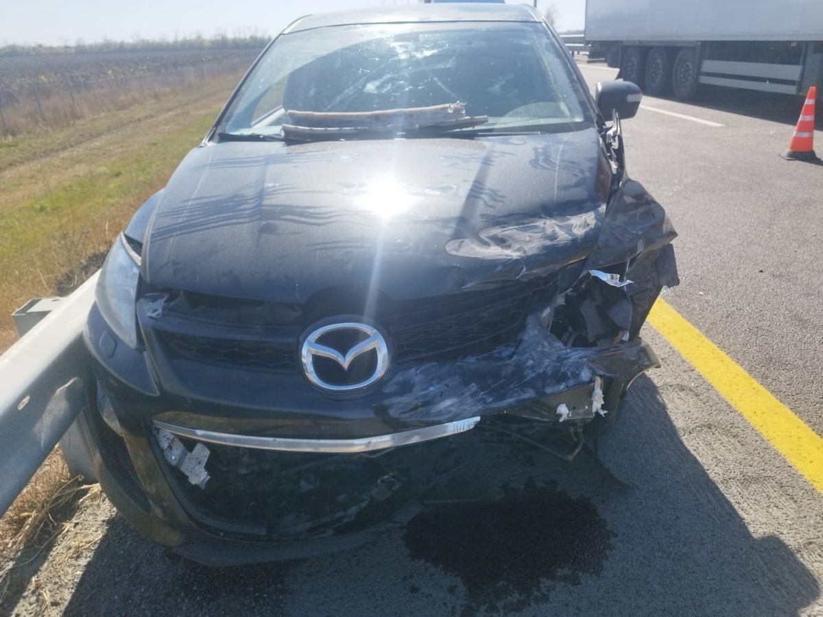 Источник: тг-канал полиции Воронежской области