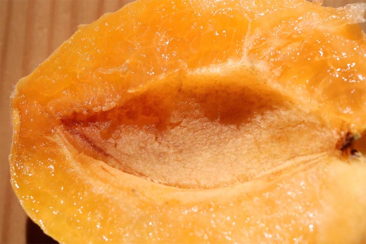 Фото unsplash.com