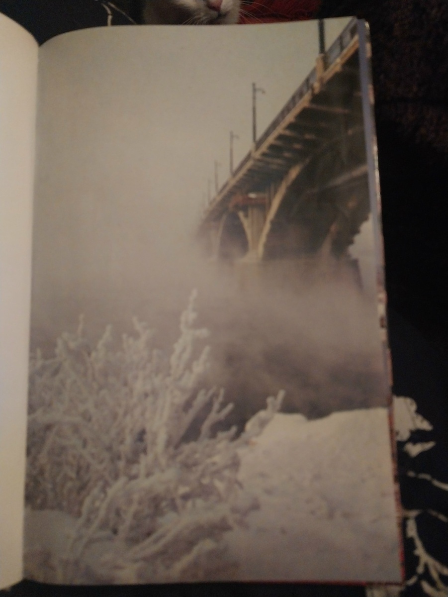 кто из нас не фотографировал Старый Глазковский мост в зимнем куржаке?