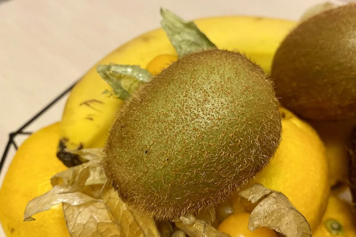 Фото: UfacityNews.ru