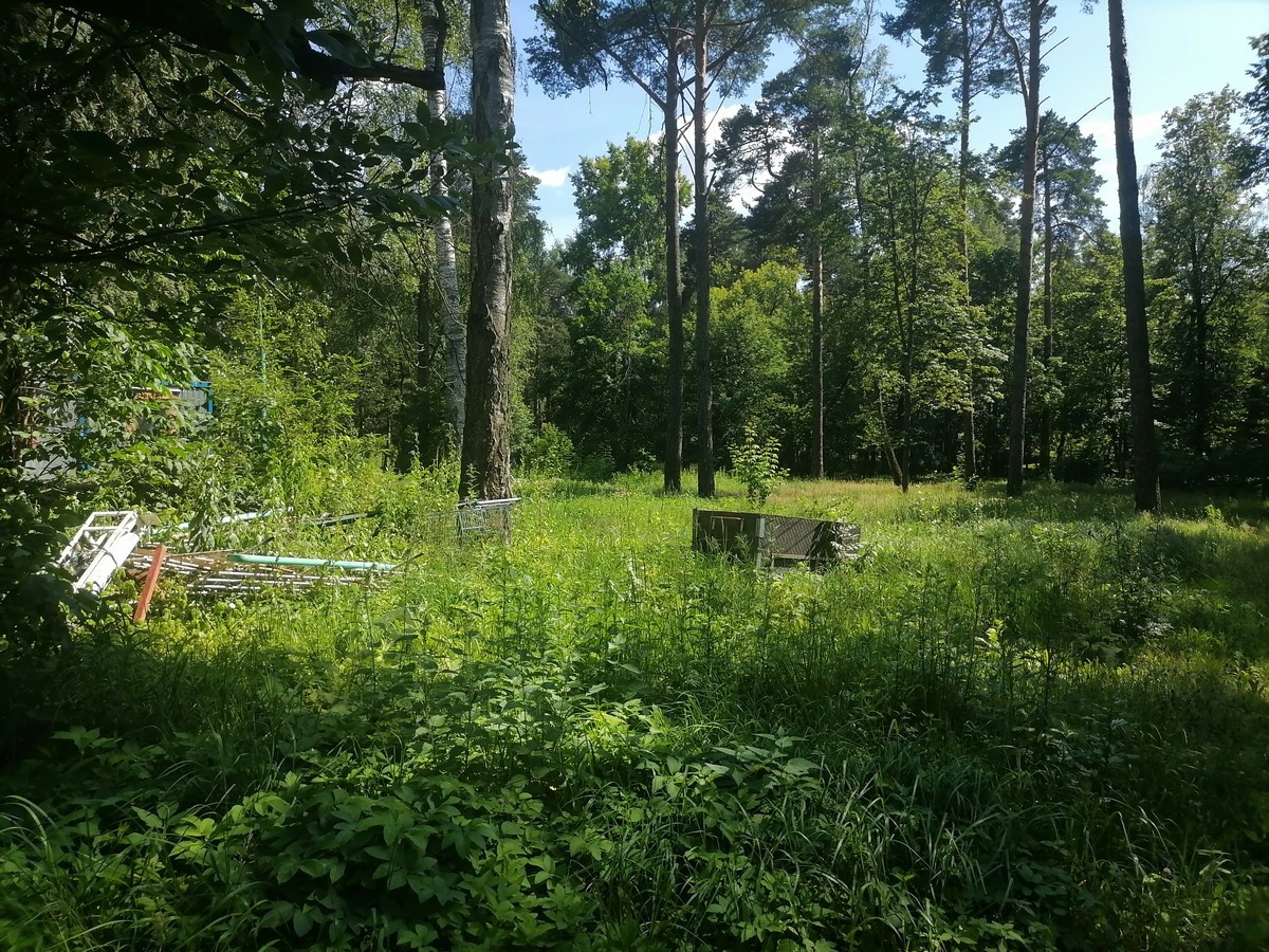 Вот такие виды вы найдете на территории