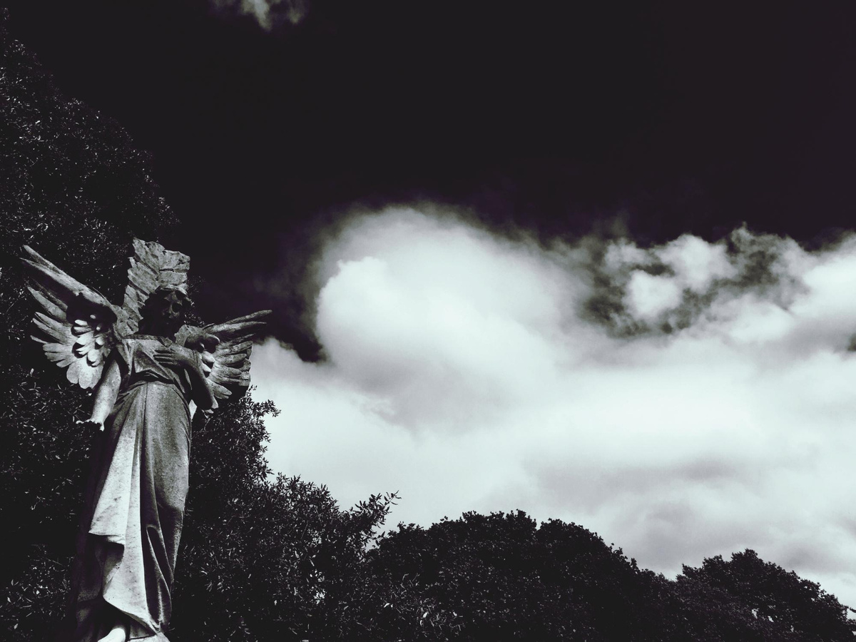 Фото: freepik.com  📷
