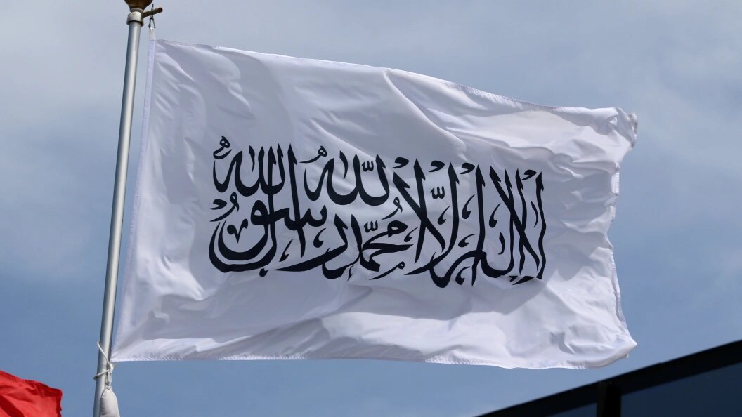    Фото: Maksim Konstantinov/Global Look Press